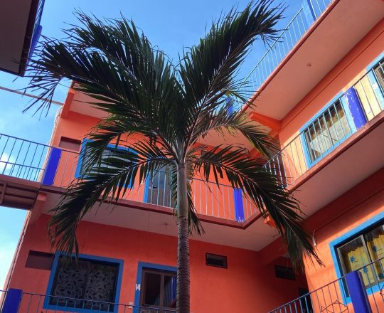 469379892_18259392403251334_3153244268810790912_n